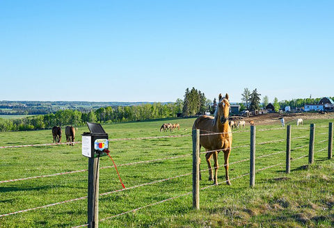 5 KM Solar Electric Fence Energiser – Livestock & Pet Control WTCS015 - with | Sold by Uncle Wiener's Wholesale