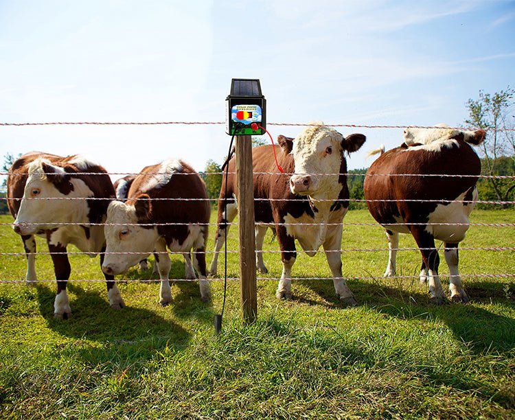 5 KM Solar Electric Fence Energiser – Livestock & Pet Control WTCS015 - with | Sold by Uncle Wiener's Wholesale