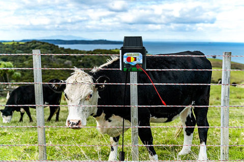 5 KM Solar Electric Fence Energiser – Livestock & Pet Control WTCS015 - with | Sold by Uncle Wiener's Wholesale