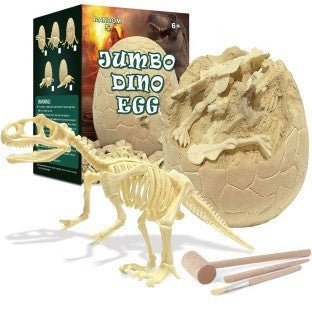 5 - Piece Dinosaur Skeleton Excavation Dig Kit with Tools – DS5160979 - with | Sold by Uncle Wiener's Wholesale