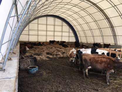 50′ WIDE DOUBLE TRUSS STORAGE BUILDINGS - with Standard 50X80X23 26.5 Oz PVC Cover | Sold by Uncle Wiener's Wholesale