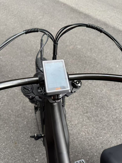 500W Jet Black Electric Sidecar Bike with Aluminum‑Alloy Frame 039912 - with | Sold by Uncle Wiener's Wholesale