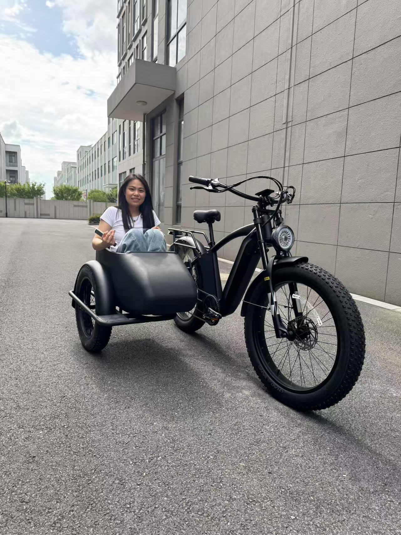 500W Jet Black Electric Sidecar Bike with Aluminum‑Alloy Frame 039912 - with | Sold by Uncle Wiener's Wholesale