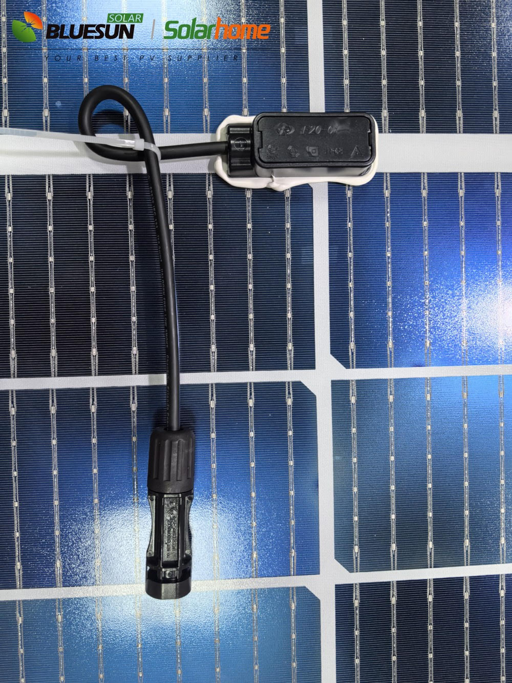 "565W bifacial monocrystalline solar panel front view"
"144-cell high-efficiency solar module close-up"
"Solar panel showing rear energy capture and wiring"
"Commercial-grade bifacial solar panel in warehouse"