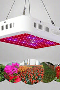 1000W LED grow light with double chips and full spectrum
Inline fan and carbon filter for indoor plant grow tent
Digital thermometer hygrometer for hydroponic grow room
Complete 1000W hydroponic kit with accessories
Indoor plant grow system with ventilation setup
Grow tent setup with LED light and fan – Model 71MGK