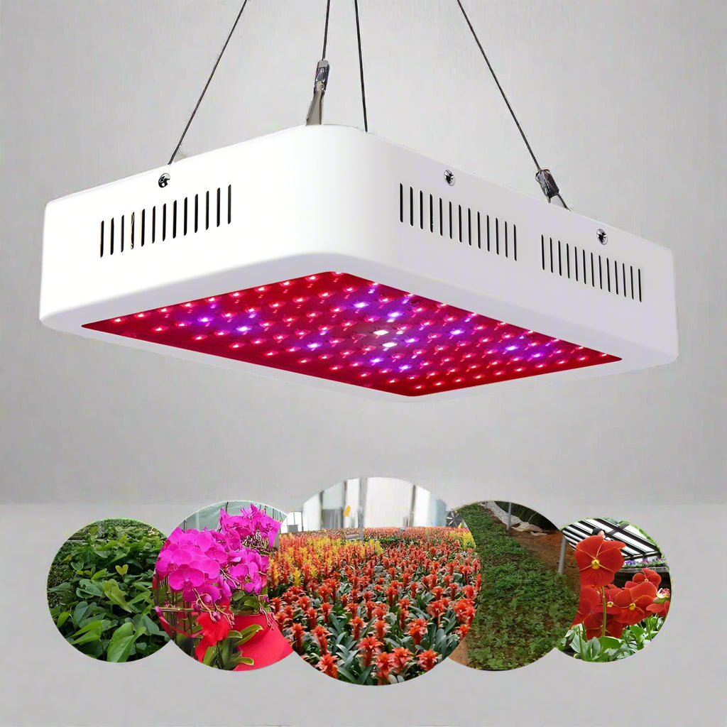 1000W LED grow light with double chips and full spectrum
Inline fan and carbon filter for indoor plant grow tent
Digital thermometer hygrometer for hydroponic grow room
Complete 1000W hydroponic kit with accessories
Indoor plant grow system with ventilation setup
Grow tent setup with LED light and fan – Model 71MGK