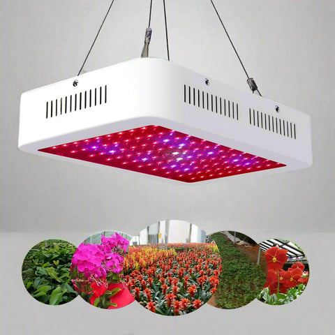1000W LED grow light with double chips and full spectrum
Inline fan and carbon filter for indoor plant grow tent
Digital thermometer hygrometer for hydroponic grow room
Complete 1000W hydroponic kit with accessories
Indoor plant grow system with ventilation setup
Grow tent setup with LED light and fan – Model 71MGK