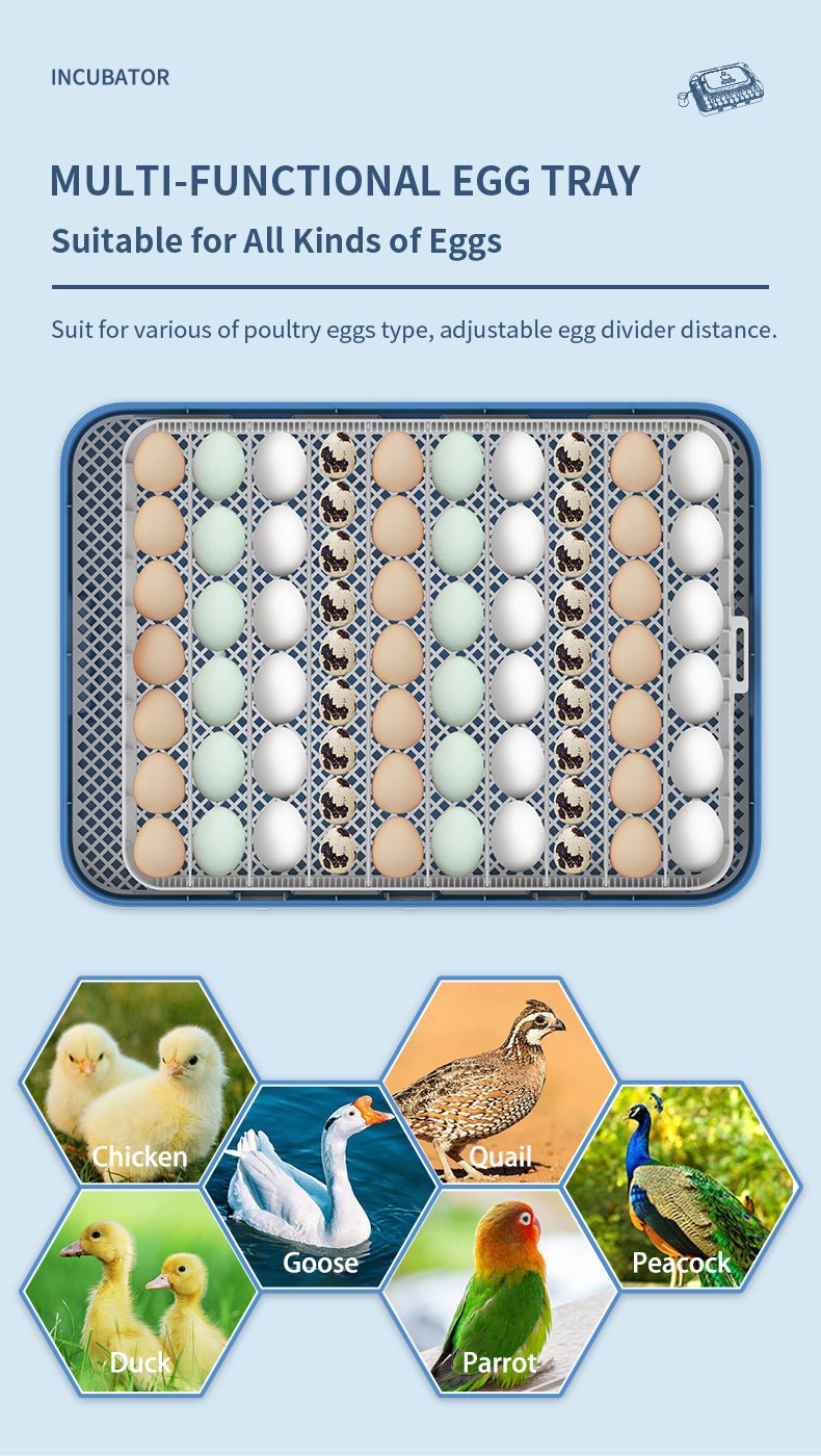 70 - Egg Digital Automatic Incubator & Brooder Set – All - in - One Hatching System | SKU 617EW70 - with | Sold by Uncle Wiener's Wholesale