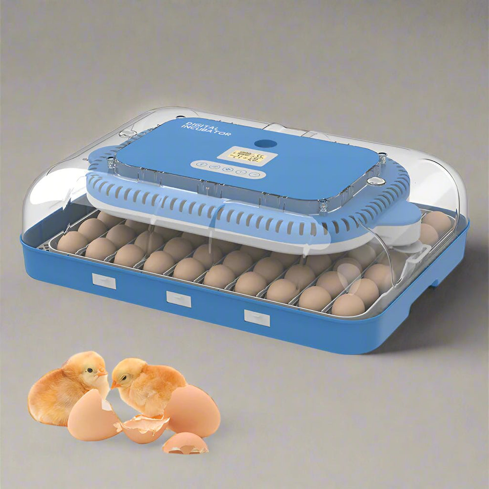 70-Egg Digital Automatic Incubator & Brooder Set – All-in-One Hatching ...