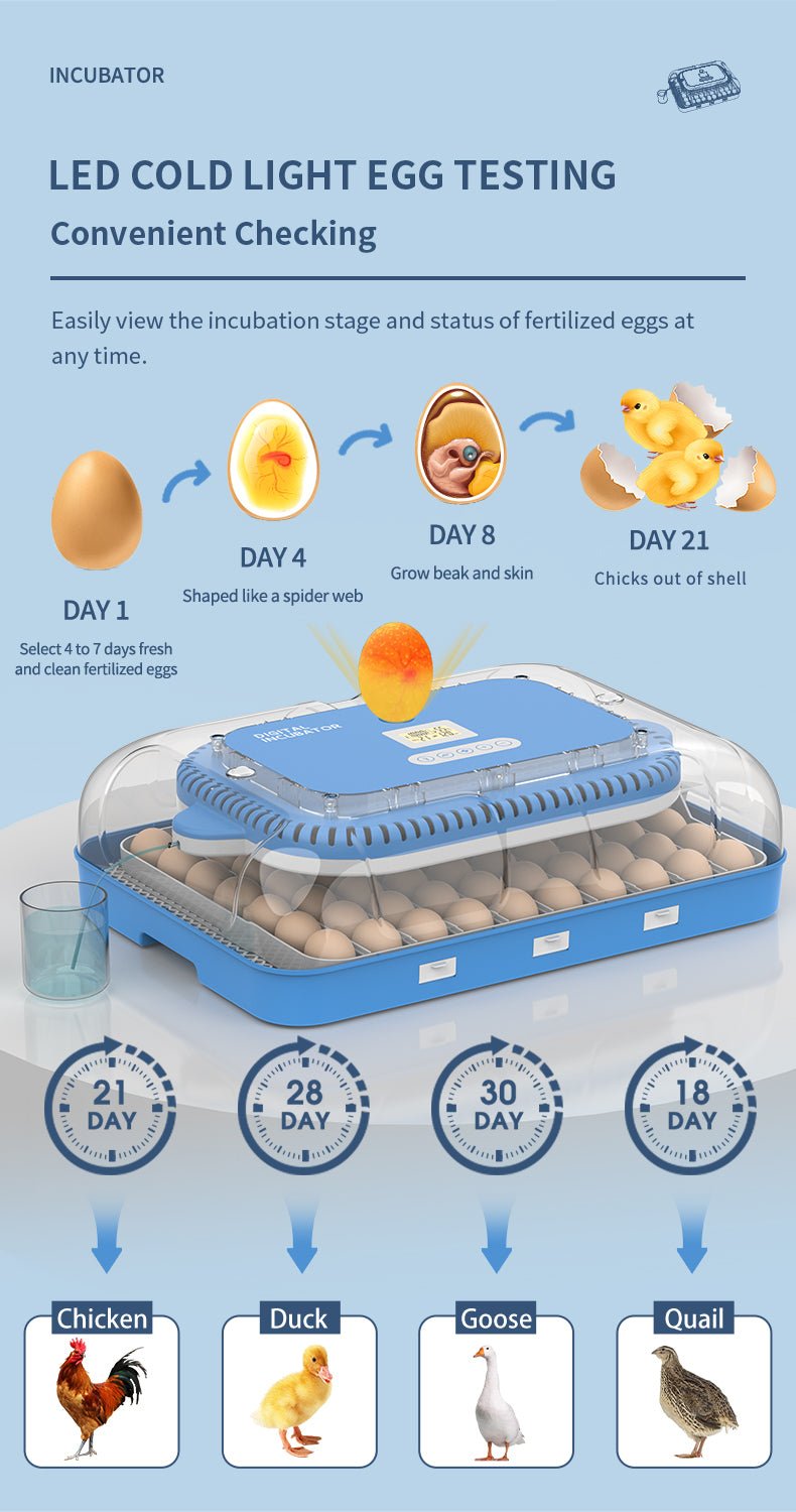 70 - Egg Digital Automatic Incubator & Brooder Set – All - in - One Hatching System | SKU 617EW70 - with | Sold by Uncle Wiener's Wholesale