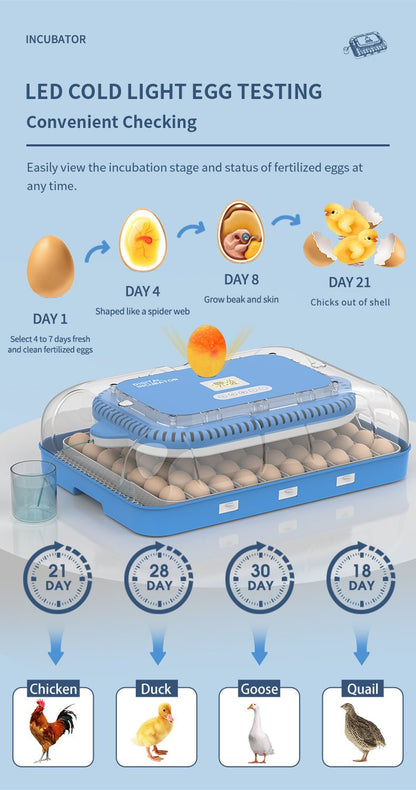 70 - Egg Digital Automatic Incubator & Brooder Set – All - in - One Hatching System | SKU 617EW70 - with | Sold by Uncle Wiener's Wholesale