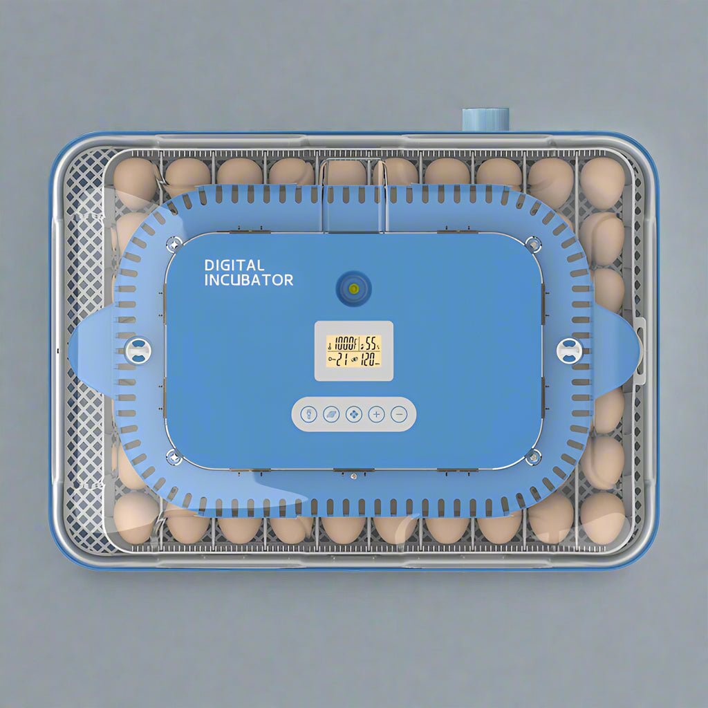 70 - Egg Digital Automatic Incubator & Brooder Set – All - in - One Hatching System | SKU 617EW70 - with | Sold by Uncle Wiener's Wholesale