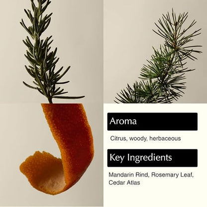 Aesop Resurrection Aromatique Hand Wash – 500mL Botanical Hand Soap with Mandarin, Rosemary & Cedar Atlas