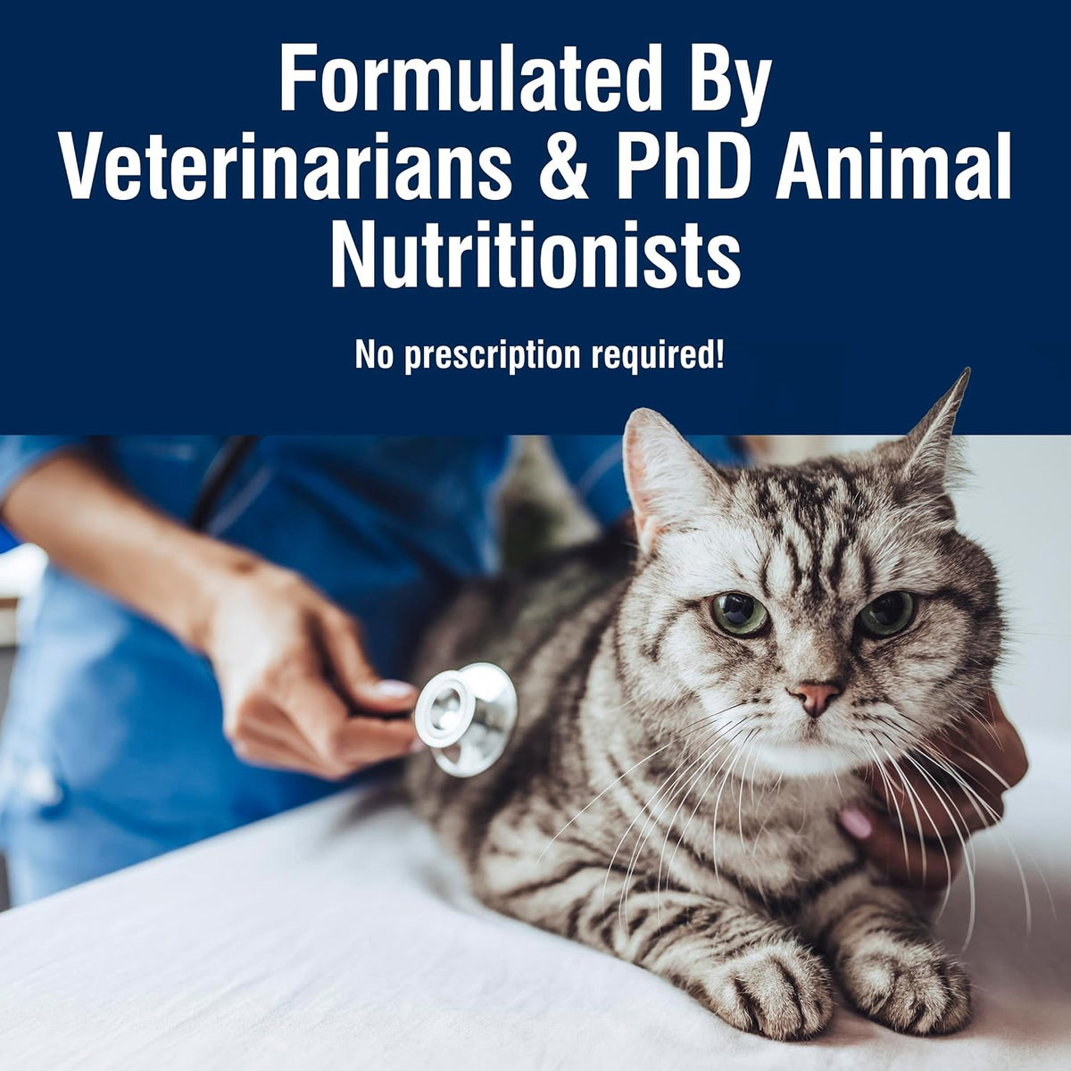 Blue Buffalo Wet Cat Food – Assorted Care Formulas, Flavours & Sizes, Natural Adult Cat Food