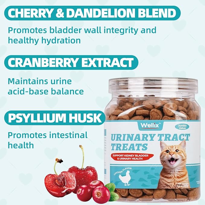 Wellix Urinary Tract Cat Treats 382g – Chicken Flavour Cat & Kitten Snacks with Cranberry, Cherry & Dandelion, 13.5 oz