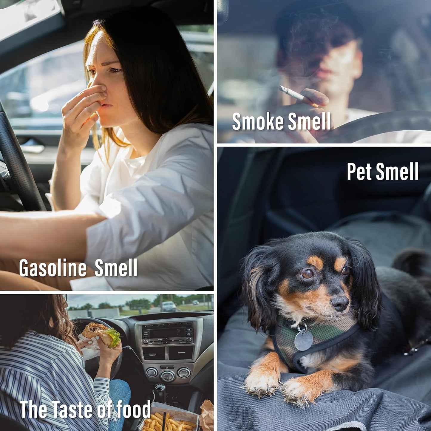 Carori Car Air Freshener Vent Clips – Long-Lasting Auto Air Freshener & Odor Eliminator, 13ml x 2 Pack