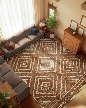 Modern Shaggy Area Rug Washable Non-Slip Geometric Carpet 4x5 5x8 6x10 FGYRUG