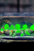 100-Pack Green Glow in the Dark Pebble Stones for Gardens, Paths, and Aquarium Décor