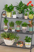 3-tier metal plant stand with potted plants in living room
Black powder-coated plant rack used indoors
Metal flower shelf displayed on outdoor patio
Sturdy decorative stand with three storage tiers
Compact garden shelf holding flowers and décor items
Close-up of black metal frame and assembly