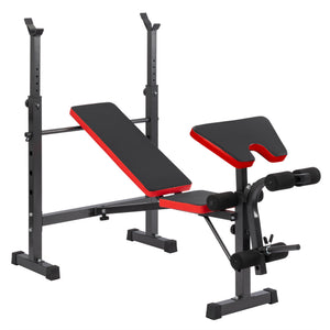Adjustable Weight Bench with Barbell Rack, Dumbbell Storage, Dip Handles & 280 kg Load Capacity WEB9752