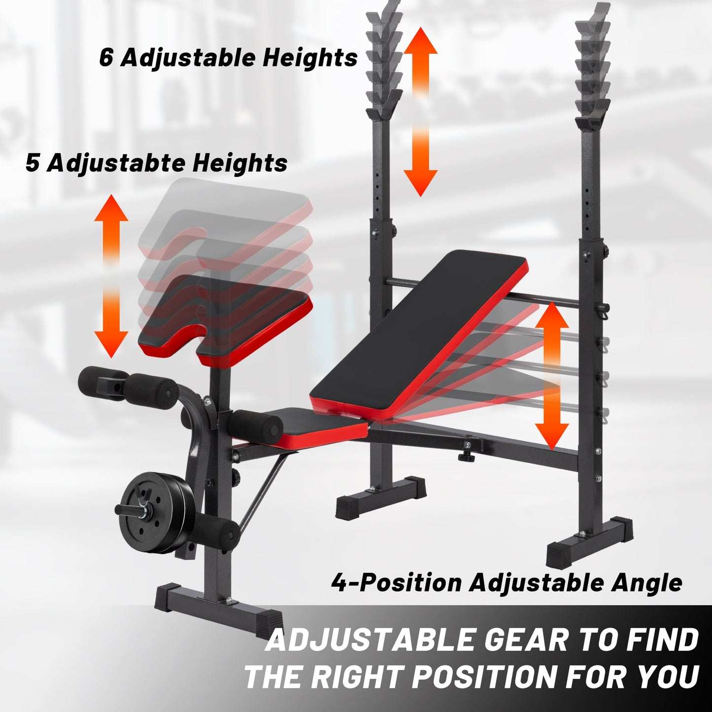 Adjustable Weight Bench with Barbell Rack, Dumbbell Storage, Dip Handles & 280 kg Load Capacity WEB9752 - with | Sold by Uncle Wiener's Wholesale