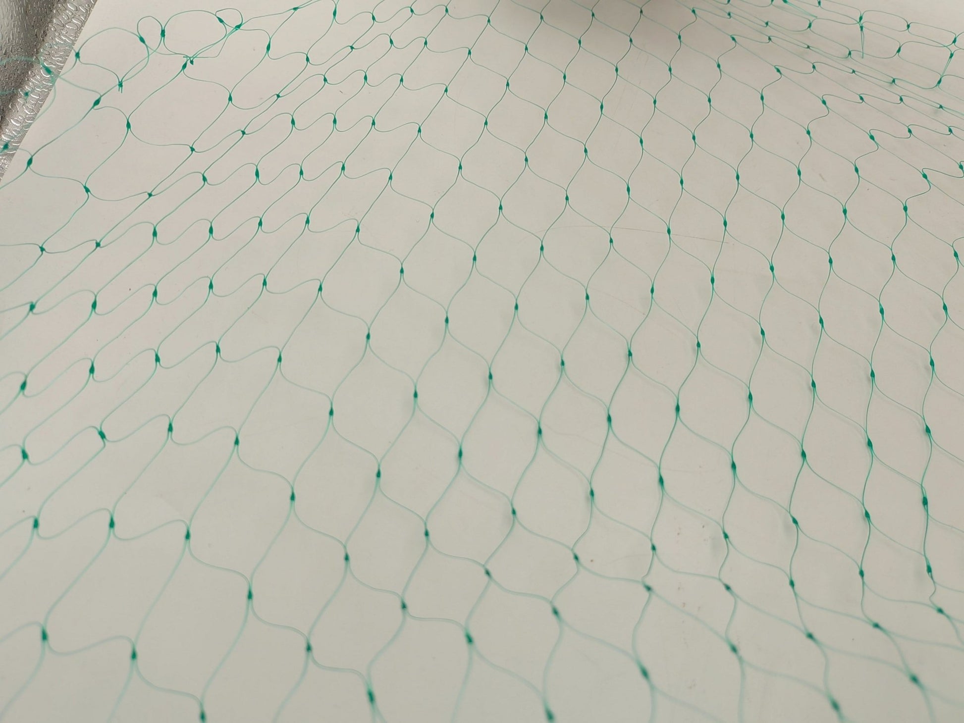 Anti - Bird Net 16.4ft x 328ft – Durable PE Garden Netting with 2.5cm Mesh for Crop & Plant Protection G5497 - with | Sold by Uncle Wiener's Wholesale