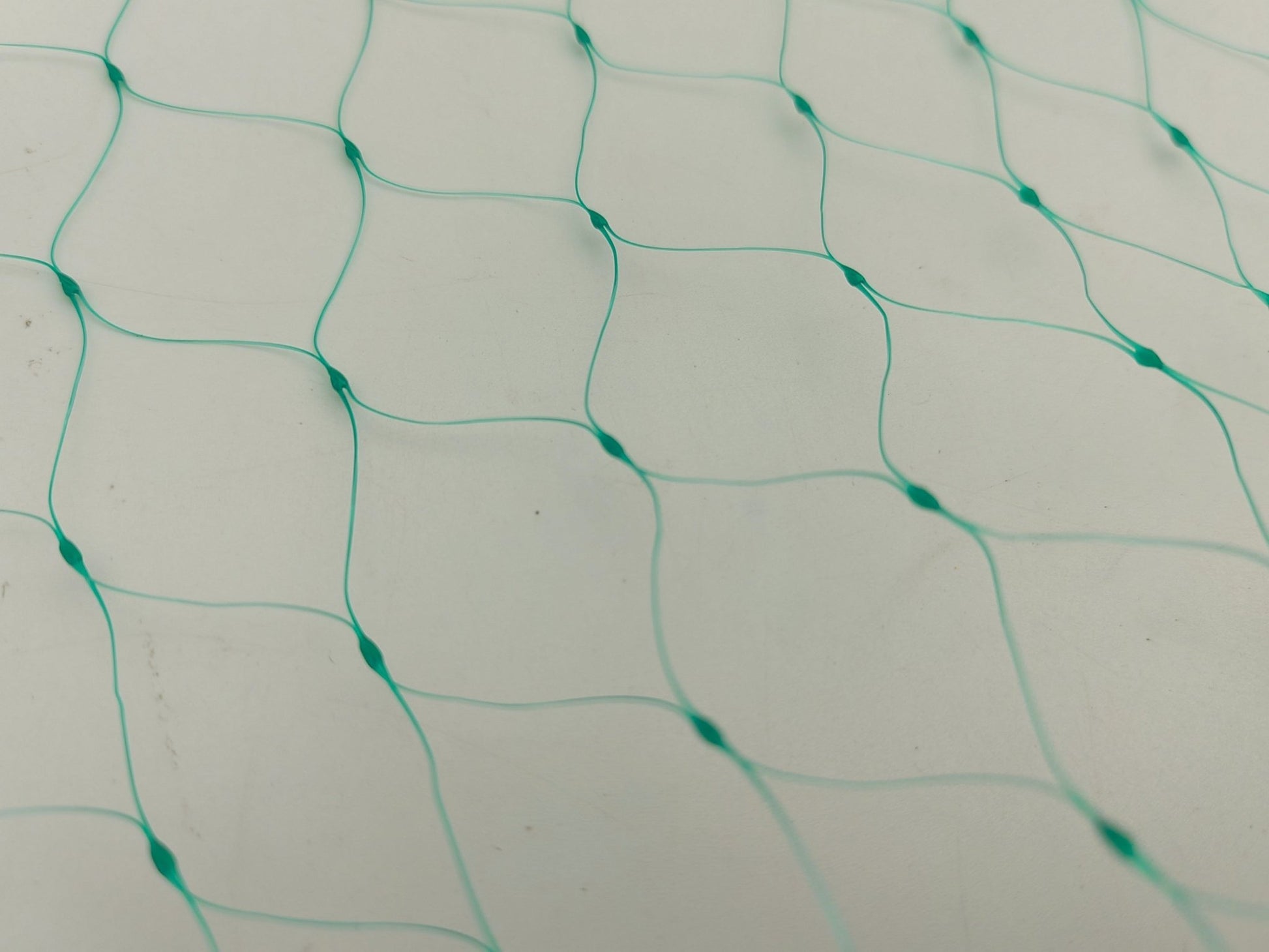 Anti - Bird Net 16.4ft x 328ft – Durable PE Garden Netting with 2.5cm Mesh for Crop & Plant Protection G5497 - with | Sold by Uncle Wiener's Wholesale