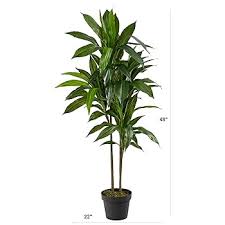 Artificial Dracaena Silk Plant – 48" Lifelike Indoor Tree for Home & Office Décor | SKU: DRA048 - with | Sold by Uncle Wiener's Wholesale