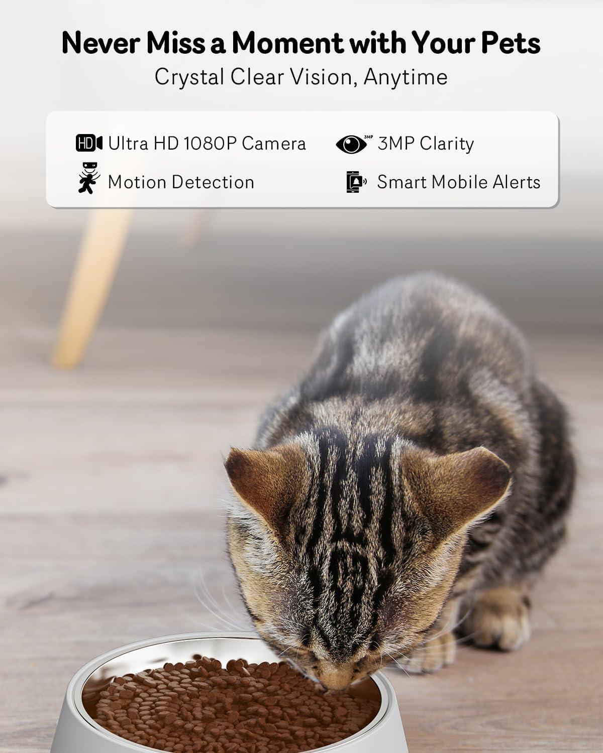 Automatic Cat Feeder with 2K Camera – 4L Smart Pet Food Dispenser (5GHz WiFi, Night Vision) - with | Sold by Uncle Wiener's Wholesale