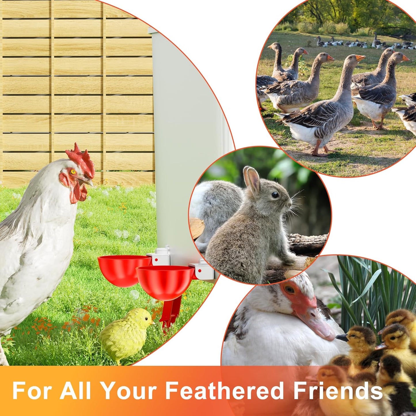 Automatic Chicken Water 5 Pack Cup with Insert Cup, Red Poultry Drinker with Drill Bit 4601C - with | Sold by Uncle Wiener's Wholesale
