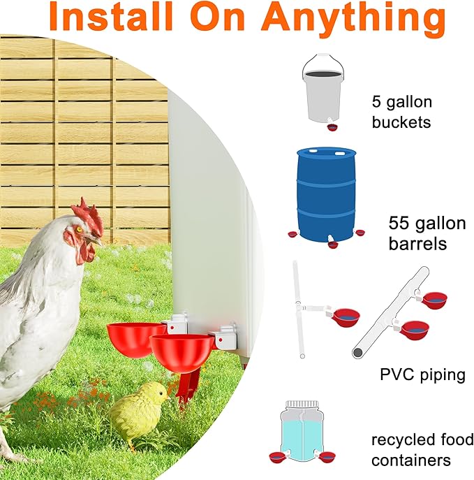 Automatic Chicken Water 5 Pack Cup with Insert Cup, Red Poultry Drinker with Drill Bit 4601C - with | Sold by Uncle Wiener's Wholesale