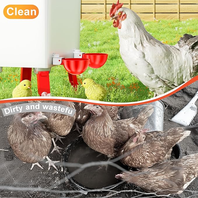 Automatic Chicken Water 5 Pack Cup with Insert Cup, Red Poultry Drinker with Drill Bit 4601C - with | Sold by Uncle Wiener's Wholesale