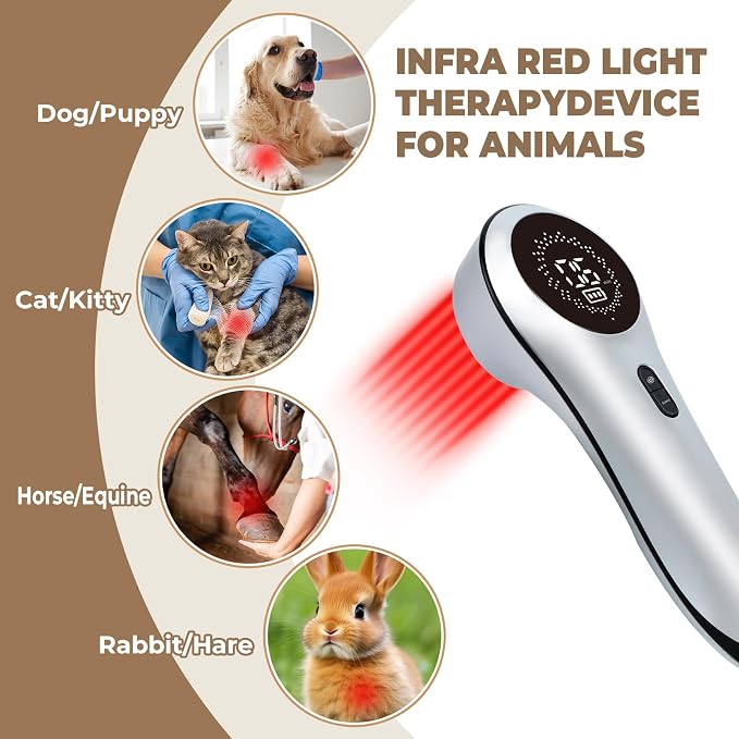 Azilaser 650nm & 808nm Red Light Therapy Device for Dogs & Pets – Rechargeable Handheld LED/NIR Light with Timer, Protective Glasses & Carry Case - Pet products with | Sold by Uncle Wiener's Wholesale
