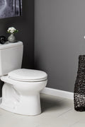 Bemis Radiance Heated Night Light Toilet Seat, Slow Close Adjustable Fit Long Lasting Plastic Seat, Round, White - with Round | Sold by Uncle Wiener's Wholesale