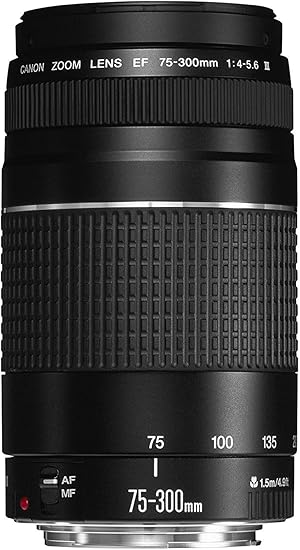 Canon EF 75 - 300mm F4 - 5.6 III Telephoto Zoom Lens for Canon EF DSLR Cameras - with | Sold by Uncle Wiener's Wholesale