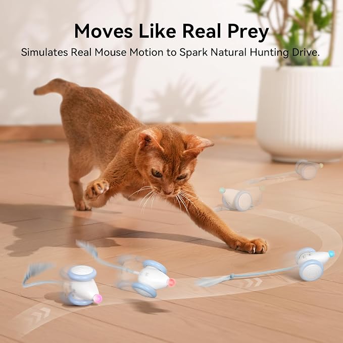 Cheerble Wicked Mouse Neo Interactive Cat Toy – Automatic Moving Rechargeable Mouse with LED Lights & Tail - Pet products with | Sold by Uncle Wiener's Wholesale