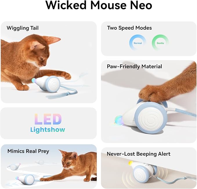 Cheerble Wicked Mouse Neo Interactive Cat Toy – Automatic Moving Rechargeable Mouse with LED Lights & Tail - Pet products with | Sold by Uncle Wiener's Wholesale