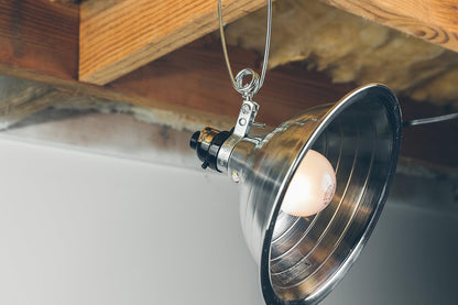 Clamp Lamp Aluminum Reflector 150W Utility Light Brooder Heat Lamp CLP150 - with | Sold by Uncle Wiener's Wholesale