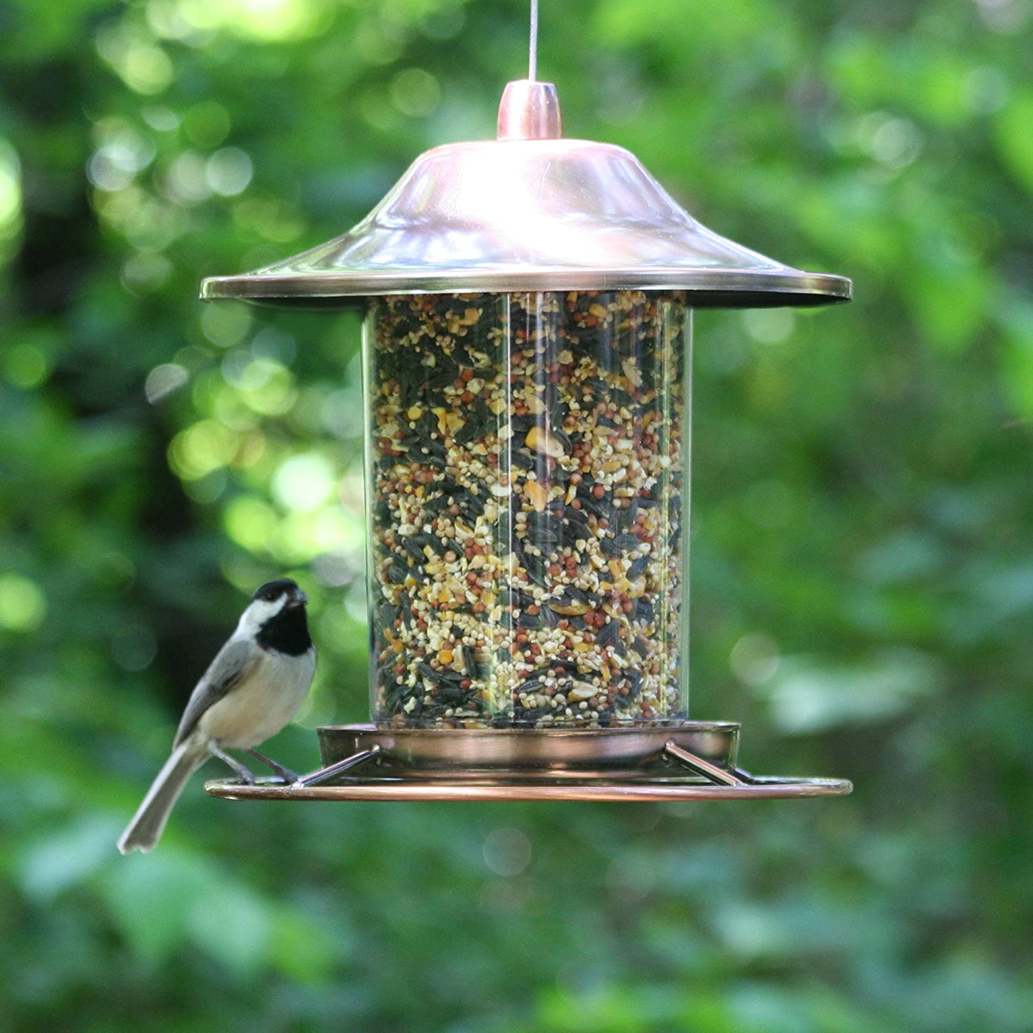 Copper Panorama Bird Feeder – Anti - Squirrel Hanging Feeder with 360° Tray Perch | 525PF - with | Sold by Uncle Wiener's Wholesale