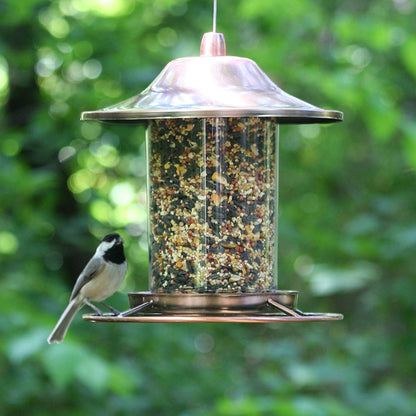 Copper Panorama Bird Feeder – Anti - Squirrel Hanging Feeder with 360° Tray Perch | 525PF - with | Sold by Uncle Wiener's Wholesale