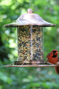 Copper Panorama Bird Feeder – Anti - Squirrel Hanging Feeder with 360° Tray Perch | 525PF - with | Sold by Uncle Wiener's Wholesale