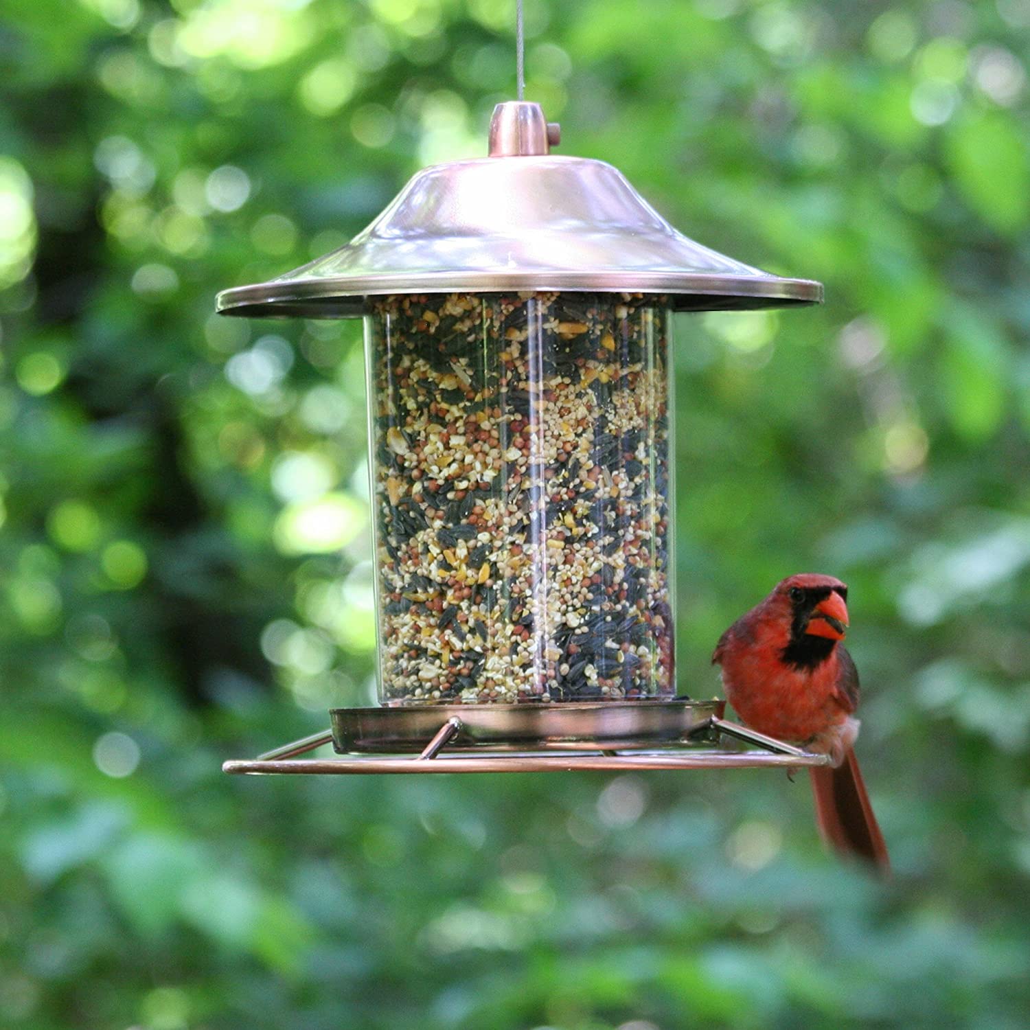 Copper Panorama Bird Feeder – Anti - Squirrel Hanging Feeder with 360° Tray Perch | 525PF - with | Sold by Uncle Wiener's Wholesale