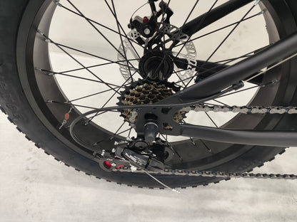Deviant 20-inch fat tire off-road bike on the beach

Side view of 7-speed fat tire bike with disc brakes

Shimano derailleur on Deviant fat tire bike

Close-up of front disc brake and suspension fork

All-season fat tire bike on snow and gravel terrain