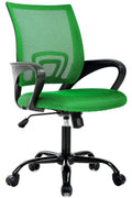Ergonomic Office Chair with Lumbar Support and Adjustable Height – Comfortable Computer Desk Chair for Adults - with Green | Sold by Uncle Wiener's Wholesale