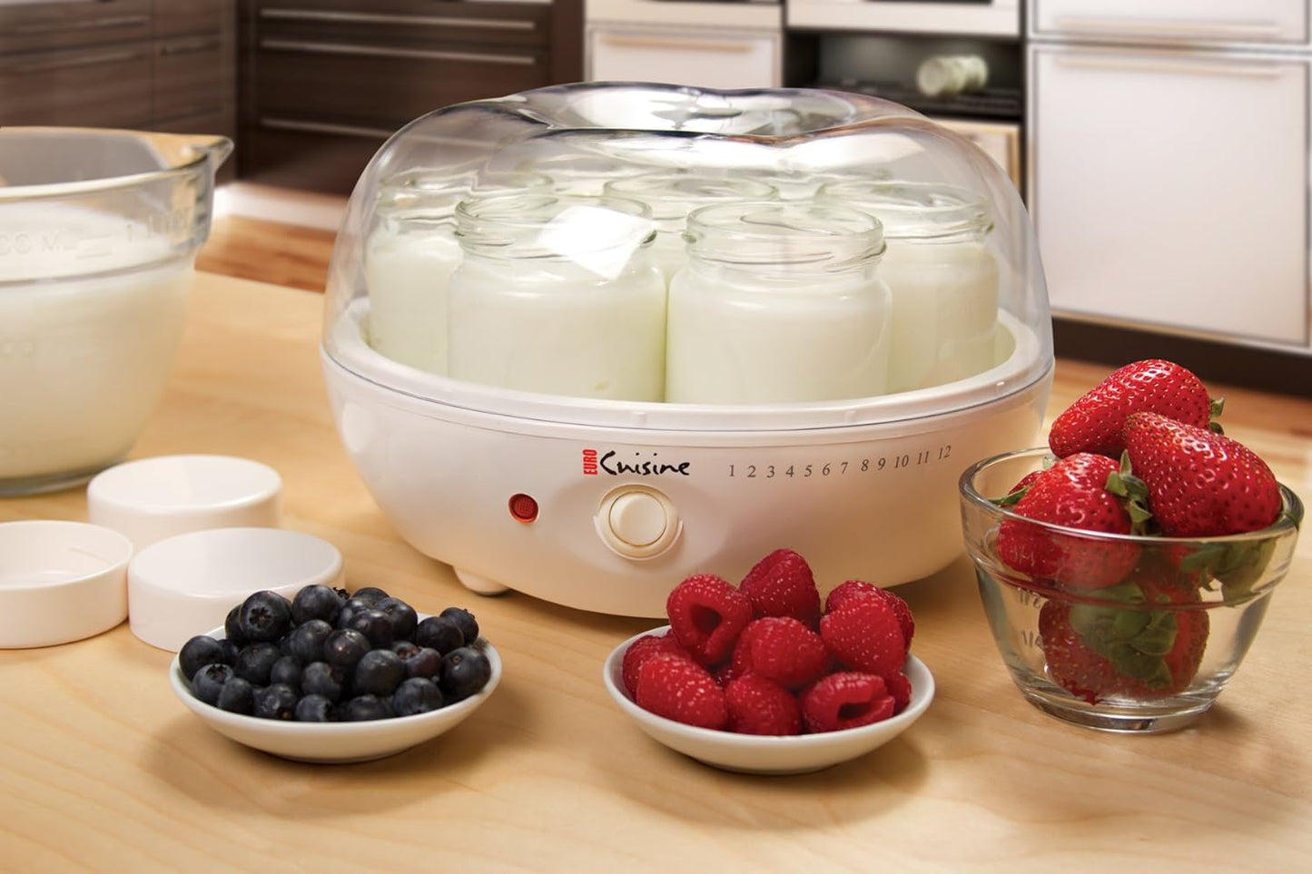 Euro Cuisine YM80 Yogurt Maker,White 9.6 Inch, used, good condition - with | Sold by Uncle Wiener's Wholesale