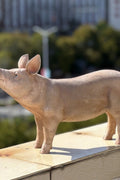 Farm Animal Resin Statues – Pig, Goose, Hen, Rooster Yard Decor Indoor Outdoor Rustic Garden Ornaments - with Resin Pig Statue | Sold by Uncle Wiener's Wholesale