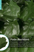 Faux Ivy Privacy Fence Screen Hedge 100″ × 59″ S3065  - with | Sold by Uncle Wiener's Wholesale