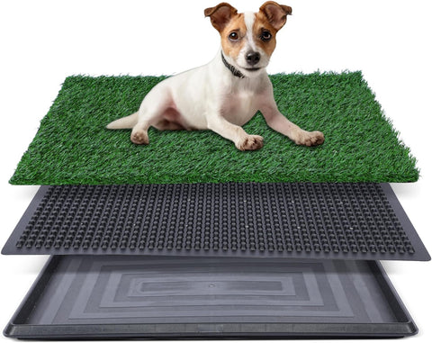 FluffyDream Dog Grass Pad with Tray, 20"x25" Artificial Grass for Dogs Potty Strong Absorbency Dog Grass Pad with Tray, Litter Box Training Pad - with Green | Sold by Uncle Wiener's Wholesale