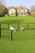 Heavy Duty Outdoor Dog Playpen Fence – 8, 16, 24 Panel Metal Dog Run - with 8 Panel | Sold by Uncle Wiener's Wholesale