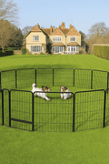 Heavy Duty Outdoor Dog Playpen Fence – 8, 16, 24 Panel Metal Dog Run - with 16 Panel | Sold by Uncle Wiener's Wholesale